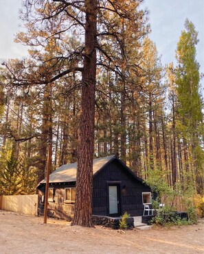 Signature Cabin, 2 Queen Beds, Private Yard (C6) | Terassi/patio