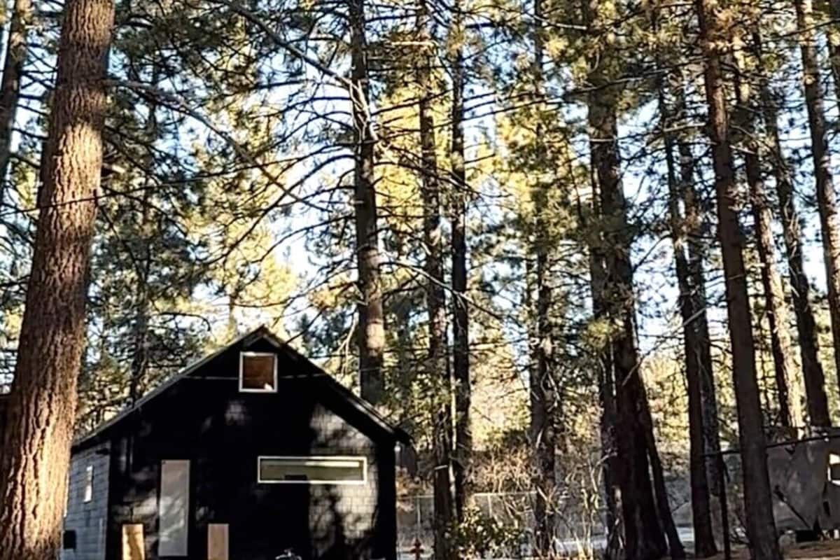 Design Cabin, Multiple Beds, Garden View (C2) | Laptop workspace, soundproofing, free WiFi, bed sheets