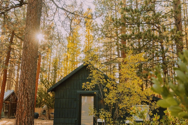 Signature Cabin, 2 Queen Beds, Private Yard (C6) | Terraço/pátio