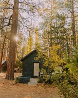 Signature Cabin, 2 Queen Beds, Private Yard (C6) | Terrass/Patio