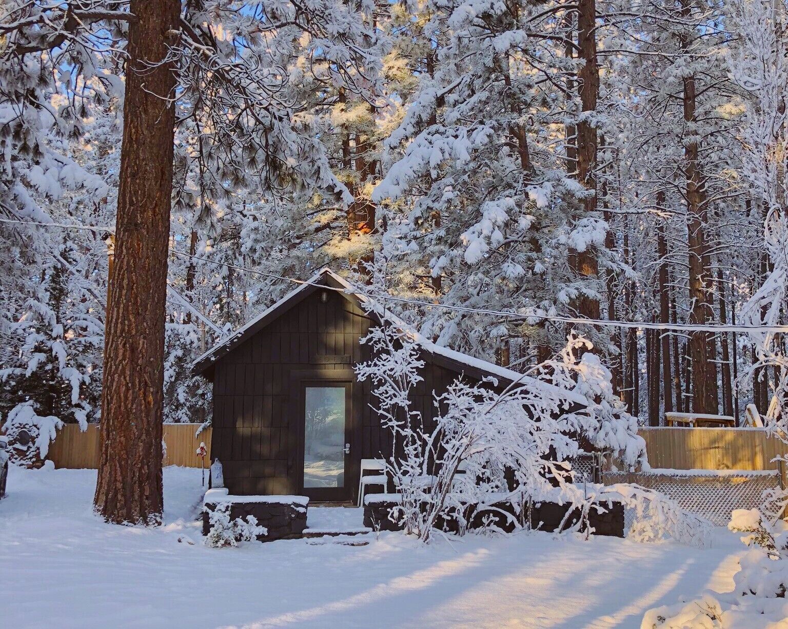 Signature Cabin, 2 Queen Beds, Private Yard (C6) | Terraza o patio