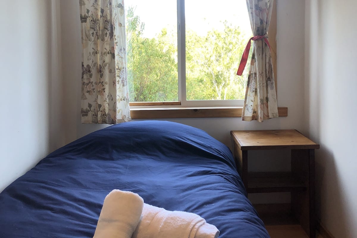 Basic Room, 1 Large Twin Bed, Mountain View | Desk, laptop workspace, blackout drapes, free WiFi