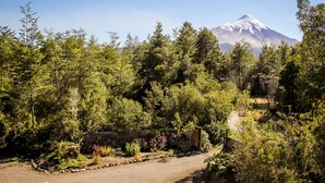 A forested area with a dirt path leading to a rustic wooden structure, likely a cabin or shelter, with a mountain in the background. - Hamilton's Place (Puerto Varas)