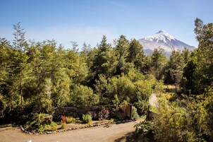 Vista desde la propiedad