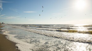 A beach with waves, a clear sky, and birds flying.