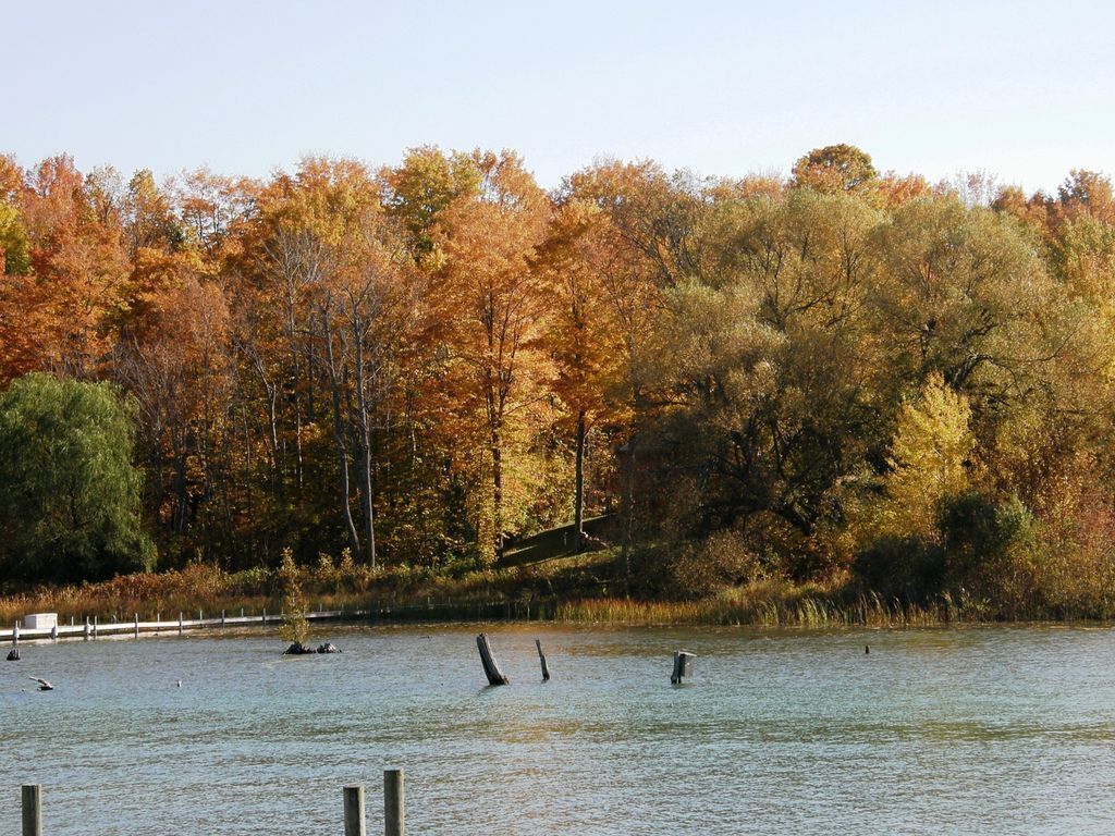 A calm lake with trees in autumn colors in the background.