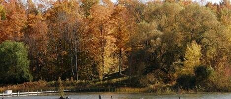 A calm lake with trees in autumn colors in the background.