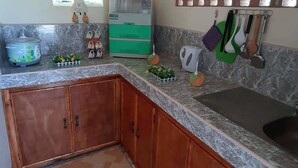 Une cuisine dotée d’un plan de travail en granit, de meubles en bois, d’un évier, d’un appareil électroménager vert et d’un panneau décoratif mural.