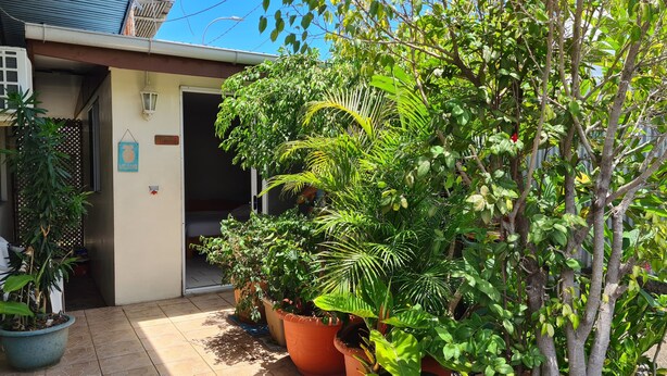 A small, welcoming entrance with a door leading to a room. There are several potted plants and a tree outside, providing greenery. - City Home Tahiti (Papeete)