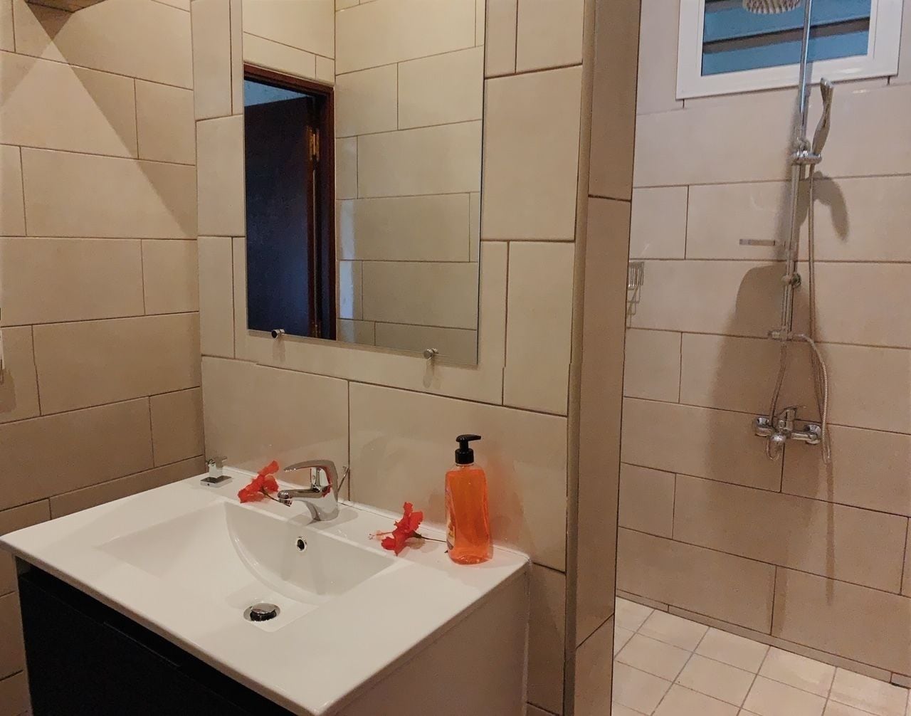 Un baño con un lavabo blanco, un espejo y una ducha.