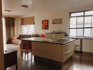 Full-sized fridge, microwave, oven, stovetop