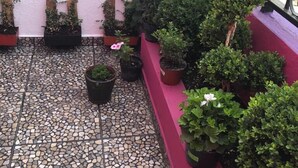 Property grounds - Hostal La Generala (Zapopan)