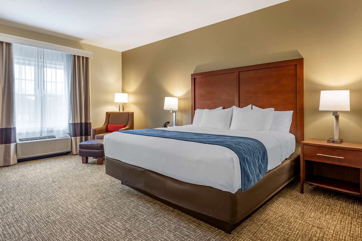 Standard Room, 1 King Bed, Non Smoking | Desk, bed sheets