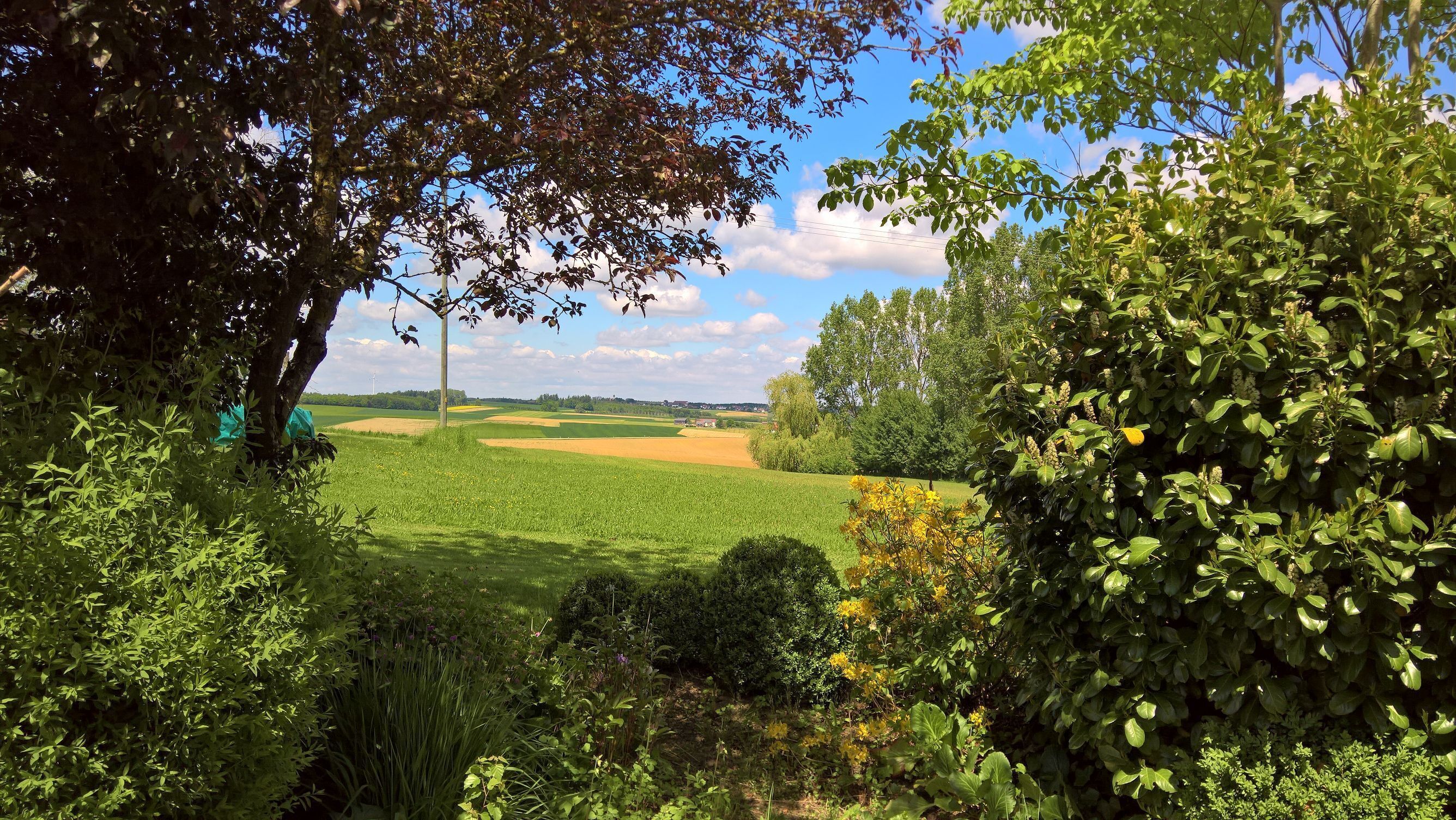 Ferienwohnung Wolfersdorf (Wolfersdorf)-Aussicht in die freie Natur
