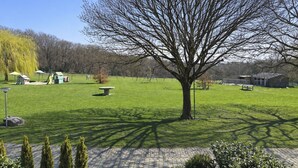 Een park met een grote boom, groen gras, een verharde pad en kleine gebouwen in de verte.