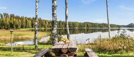 Une table de pique-nique faite de troncs d’arbres, entourée de bouleaux, avec un lac et une forêt en arrière-plan.