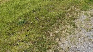 Et etplanshus med en veranda, en lille forhave og en indkørsel, der fører til garagen.