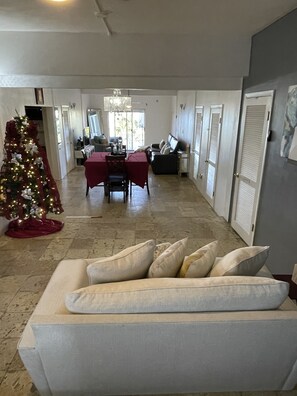 Smart TV, fireplace, video games, books