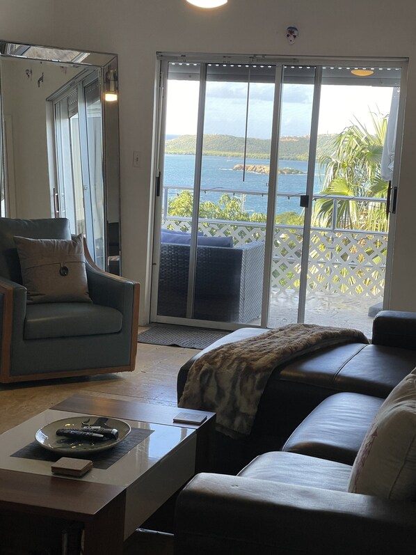 Smart TV, fireplace, video games, books