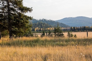 A natural landscape with a field, trees, and a distant mountain range.