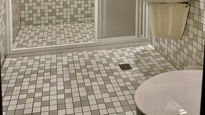 Une salle de bain avec une douche, un lavabo et un miroir.