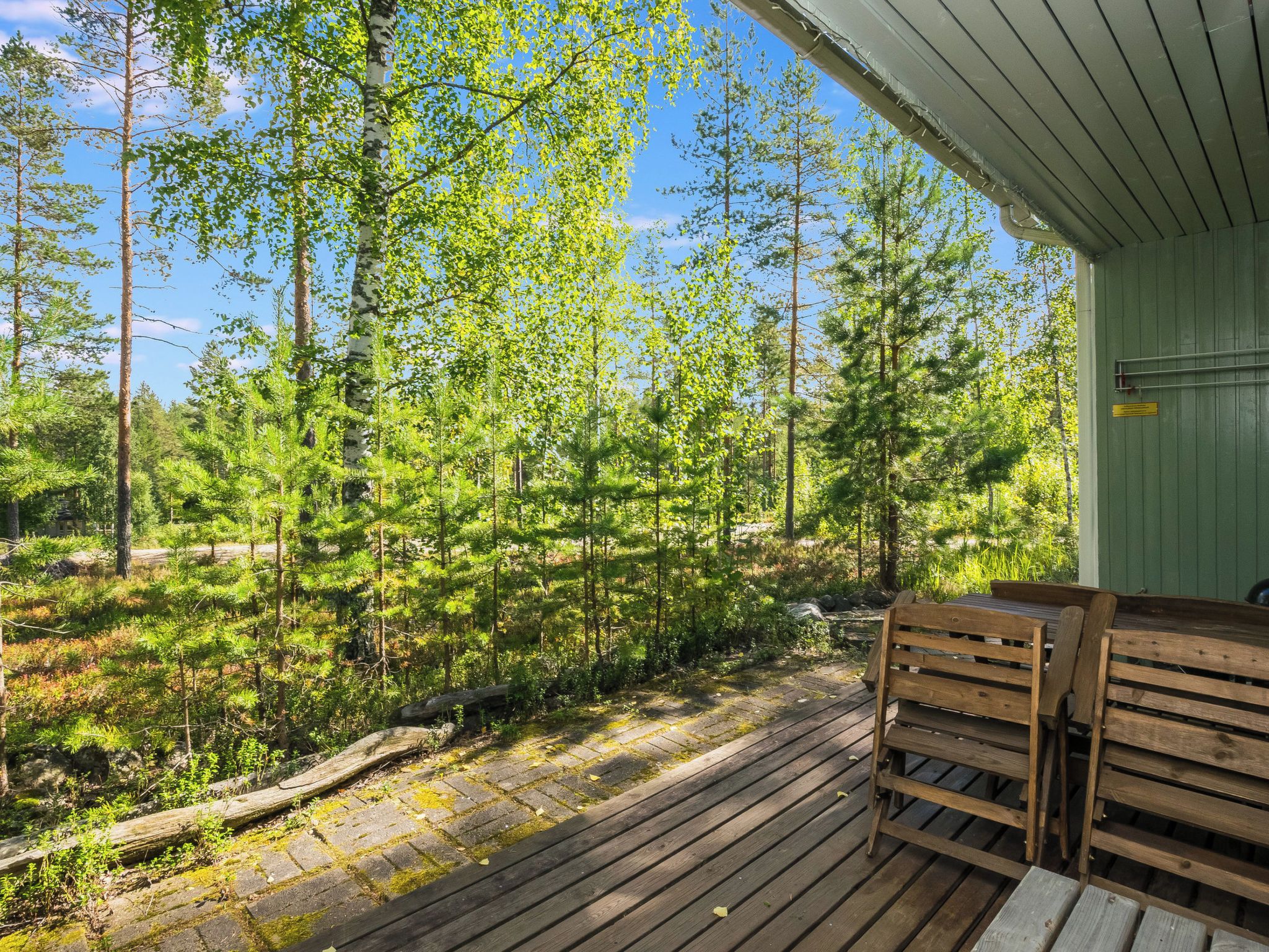 Una terraza de madera con un banco, rodeada por un bosque de diversos árboles.