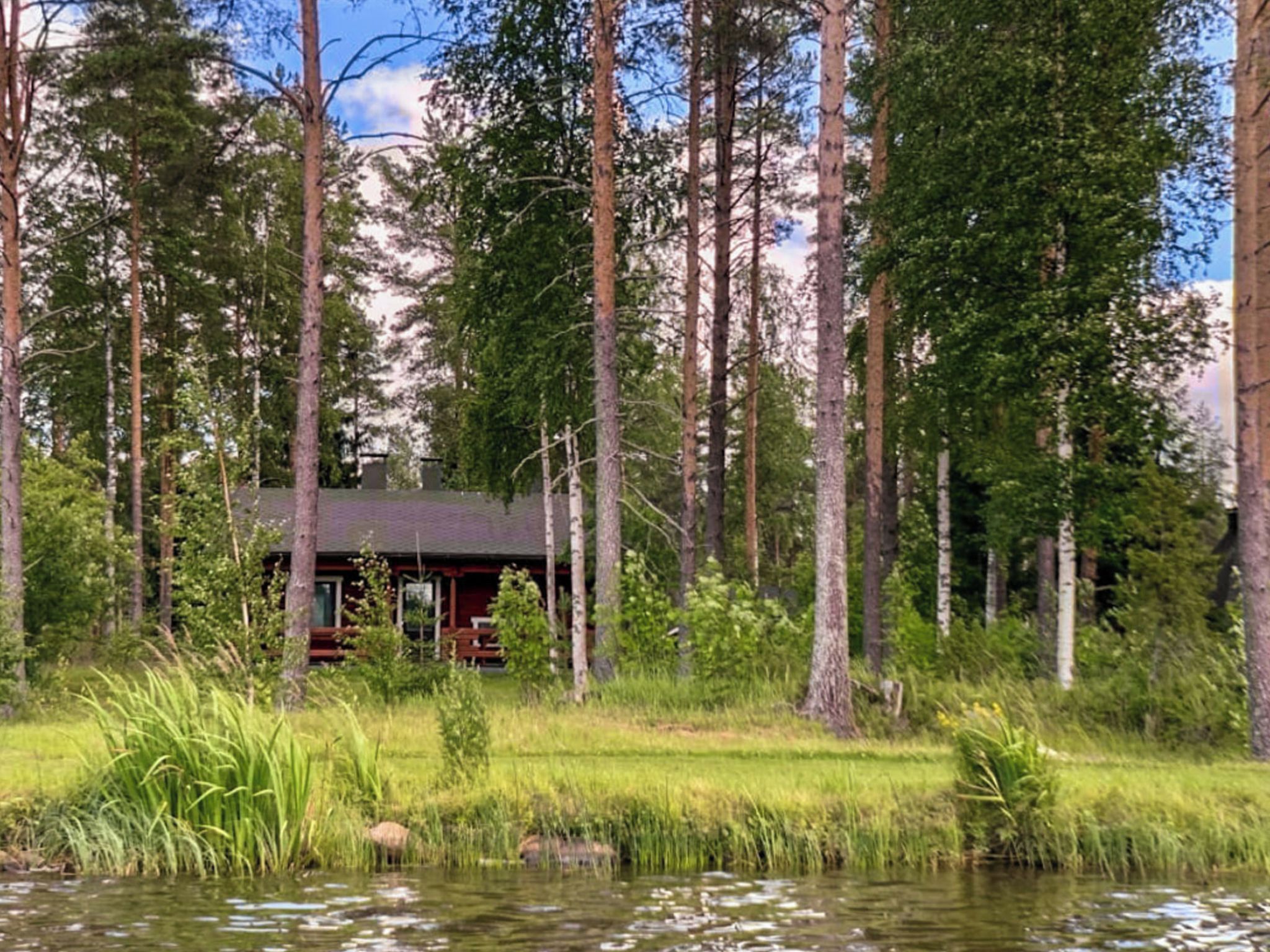 A cabin surrounded by tall trees and a pond with water lilies.