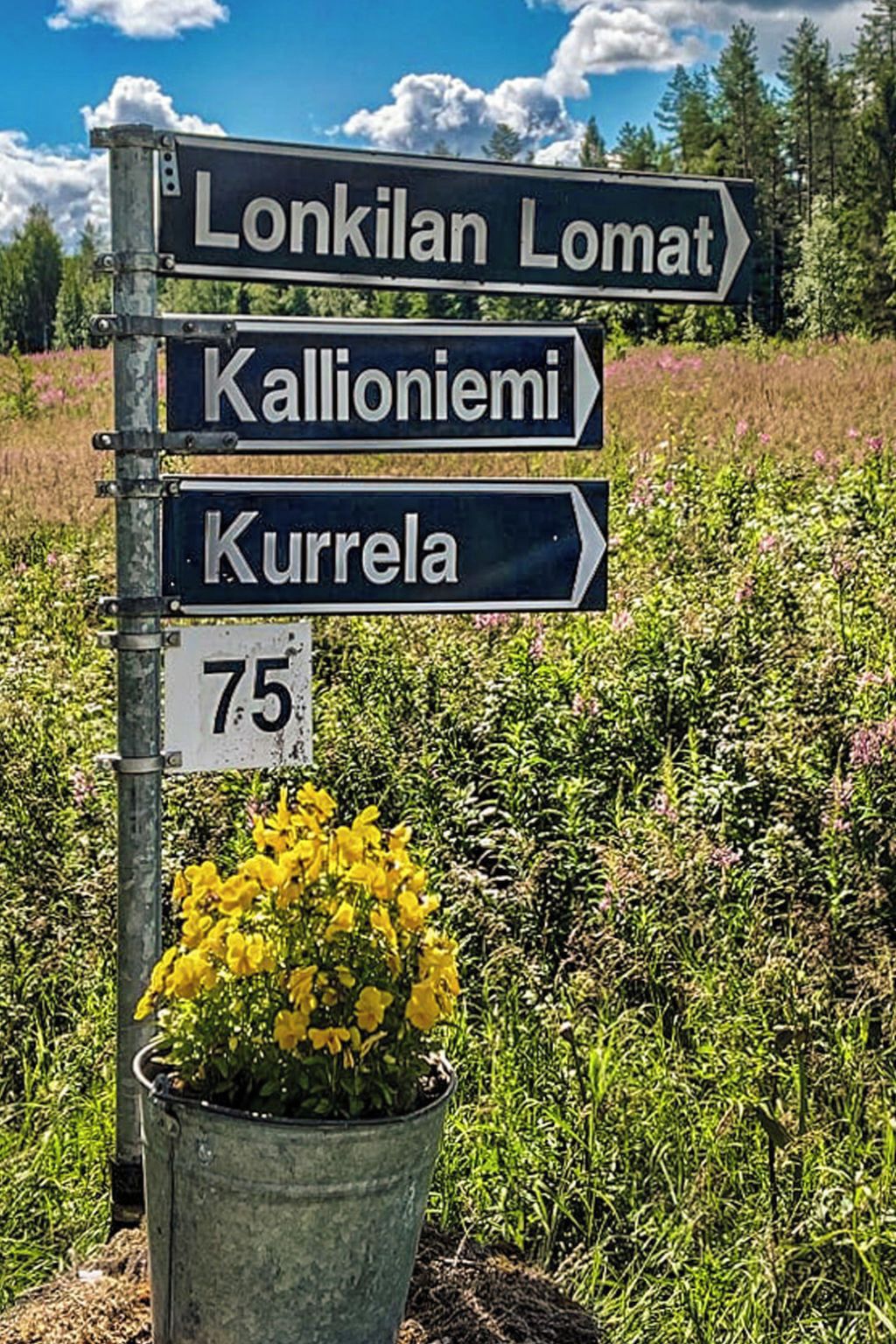 Un poste indicador con flechas que señalan a Lonkilalomat, Kallioniemi y Kurrela.