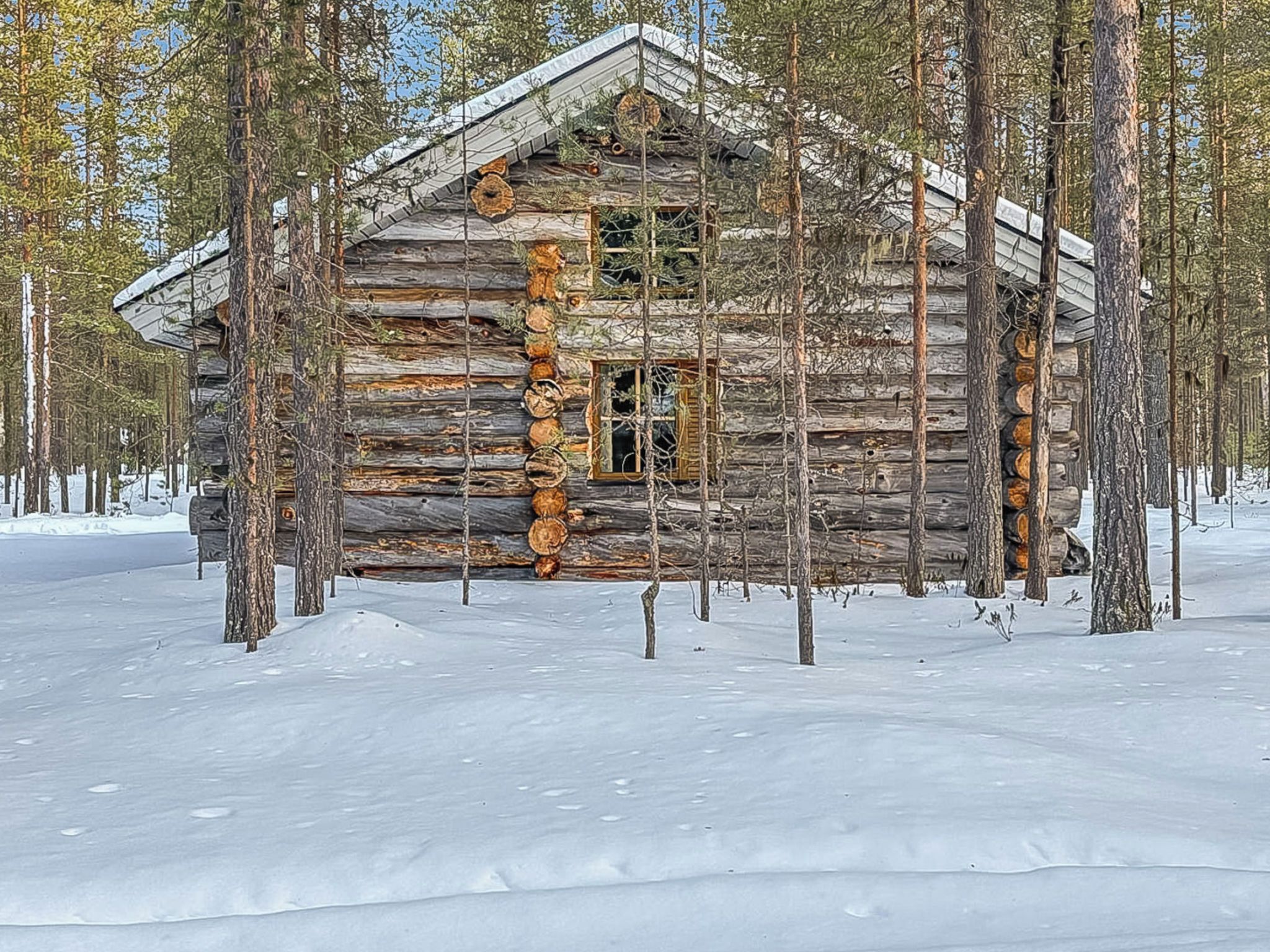 Une cabane en rondins, entourée d’arbres, se dresse au milieu d’un paysage enneigé.