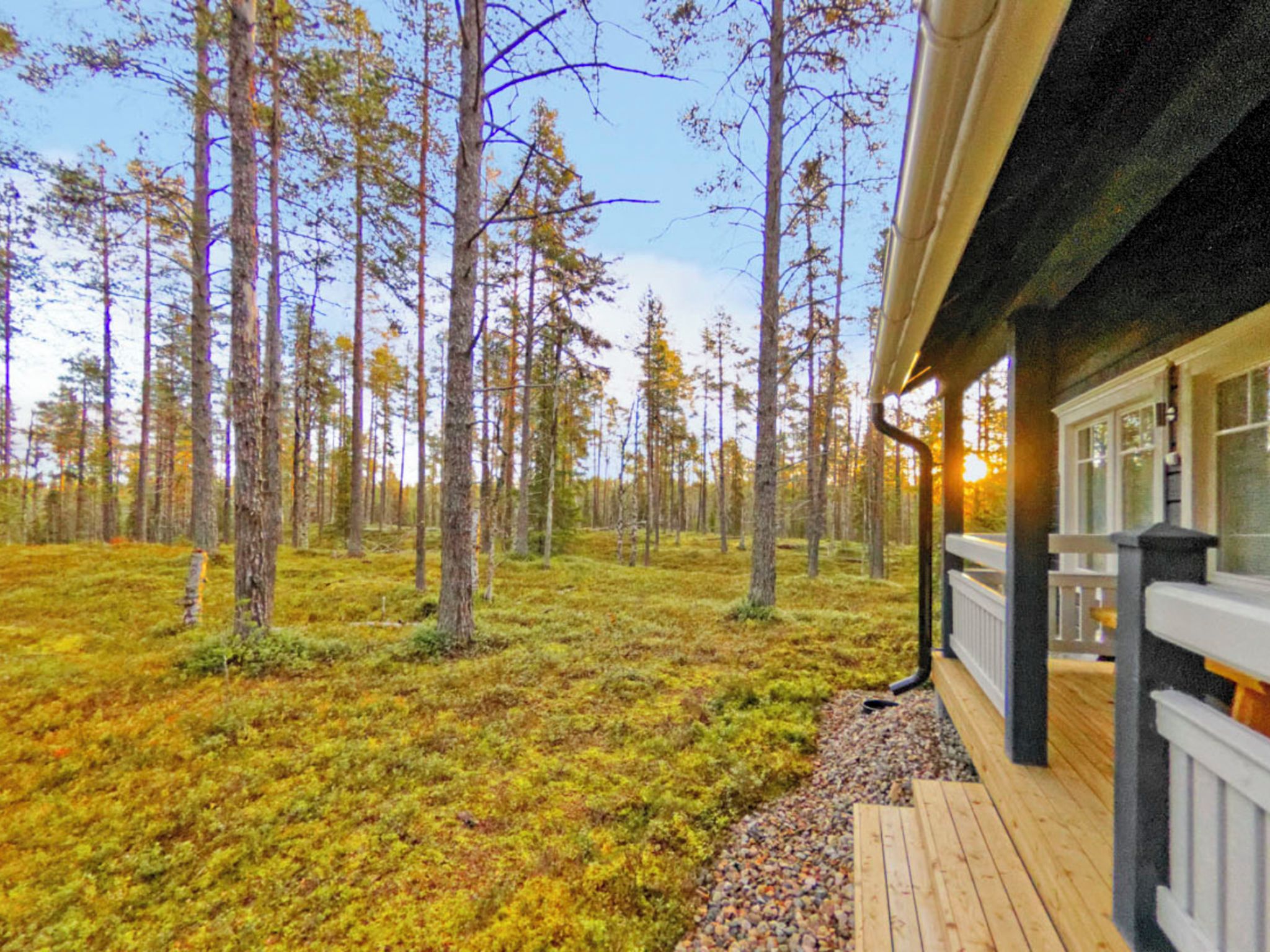 Eine Holzterrasse mit Blick auf ein bewaldetes Gebiet.