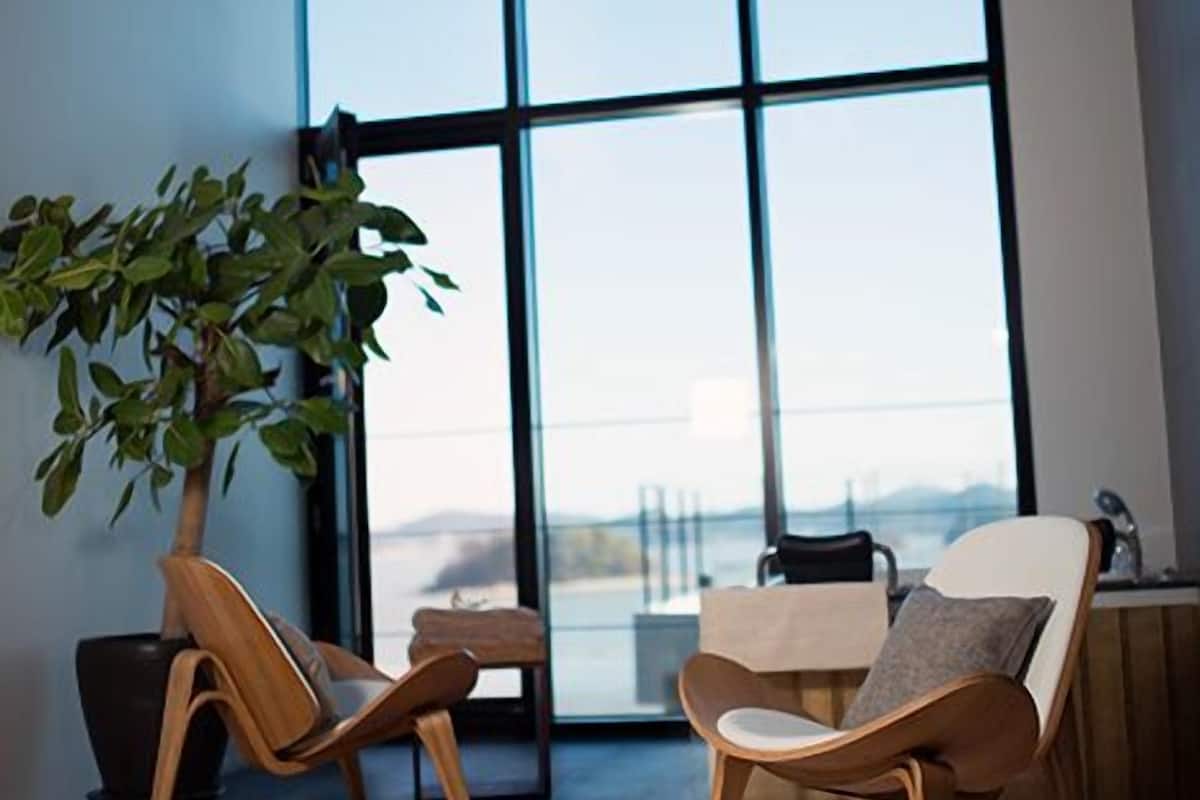 A modern living room with large windows, a potted plant, and two wooden chairs.
