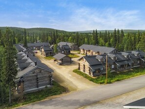 A cluster of log cabins with a dirt road in between, surrounded by dense forest and hills in the background.