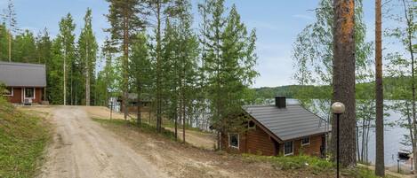 A cabin with a dirt path leading to it, surrounded by tall trees and a body of water.