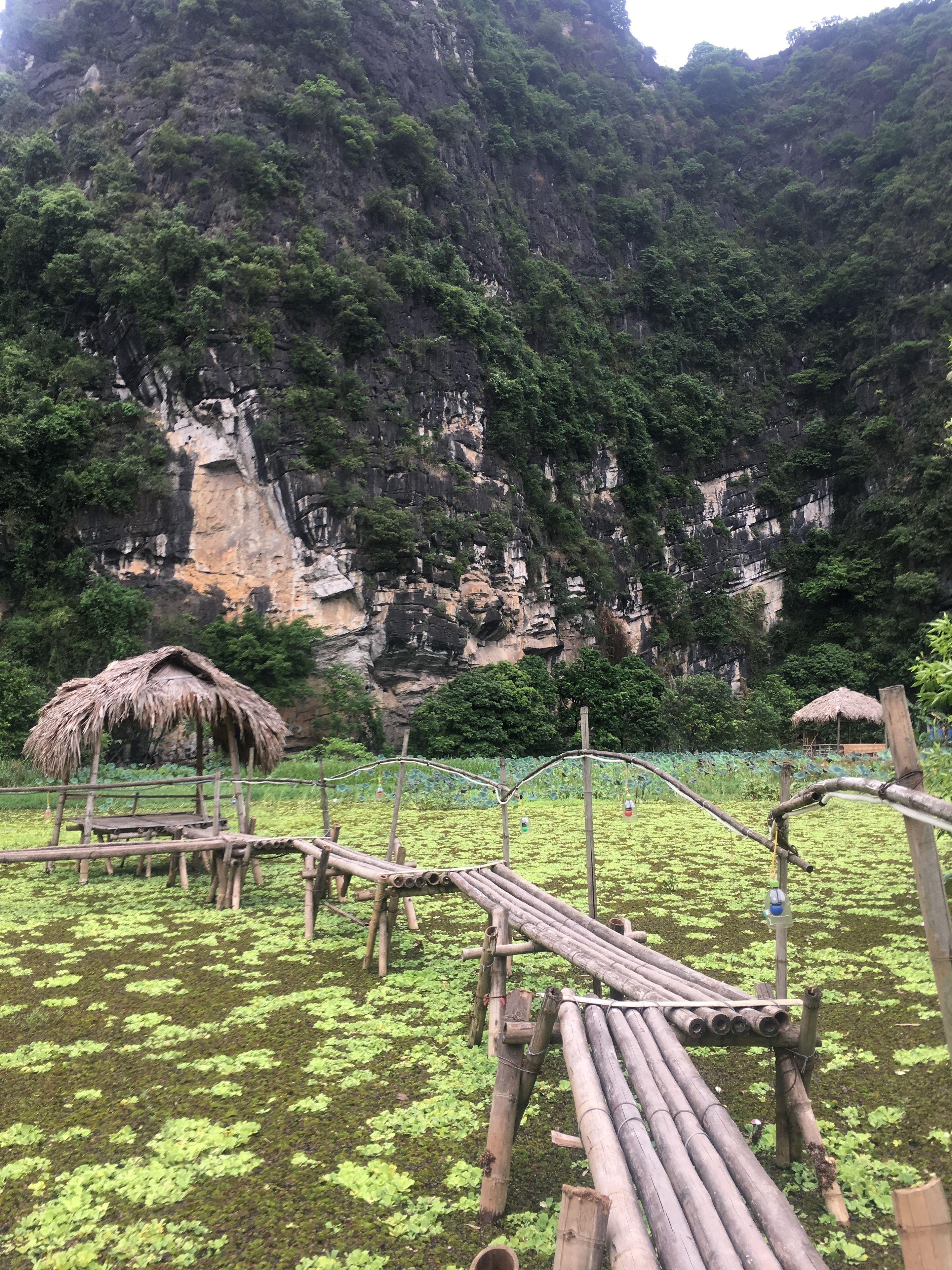 A natural landscape with a wooden bridge, thatched-roof structures, and a mountainous backdrop.