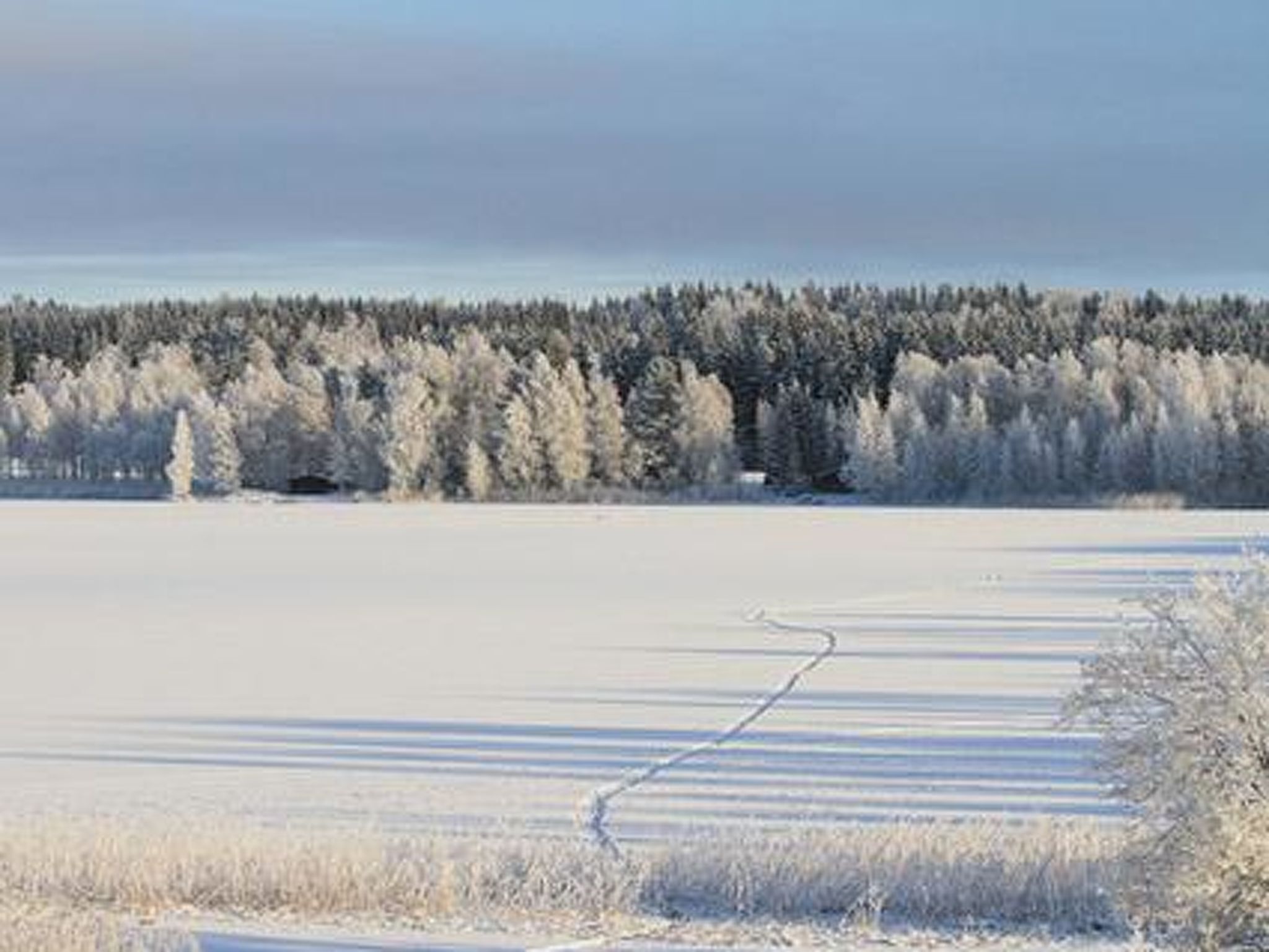 A snowy landscape with a frozen lake and a dense forest in the background.