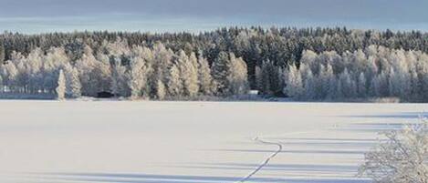 A snowy landscape with a frozen lake and a dense forest in the background.
