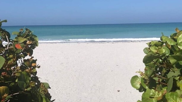 Beach - The Oceanview Oasis (Englewood)