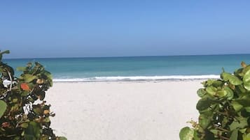 Sun-loungers, beach towels