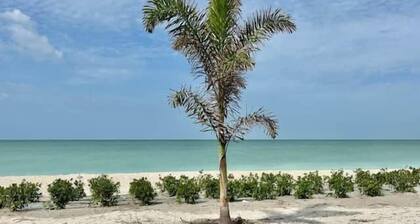 The Oceanview Oasis