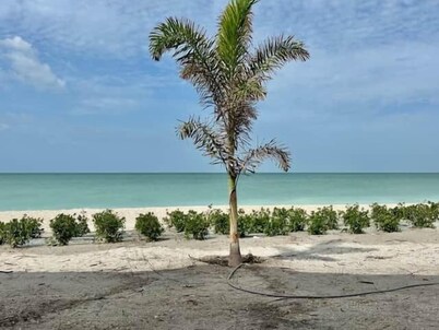 The Oceanview Oasis