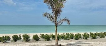 The Oceanview Oasis
