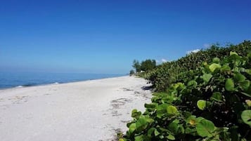 Plage, chaises longues, serviettes de plage
