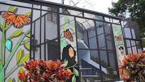 A building with a large mural featuring butterflies and plants.