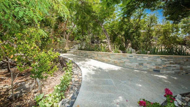 Un chemin pavé bordé d’un côté par un mur de pierres, entouré d’une végétation luxuriante et d’arbres.