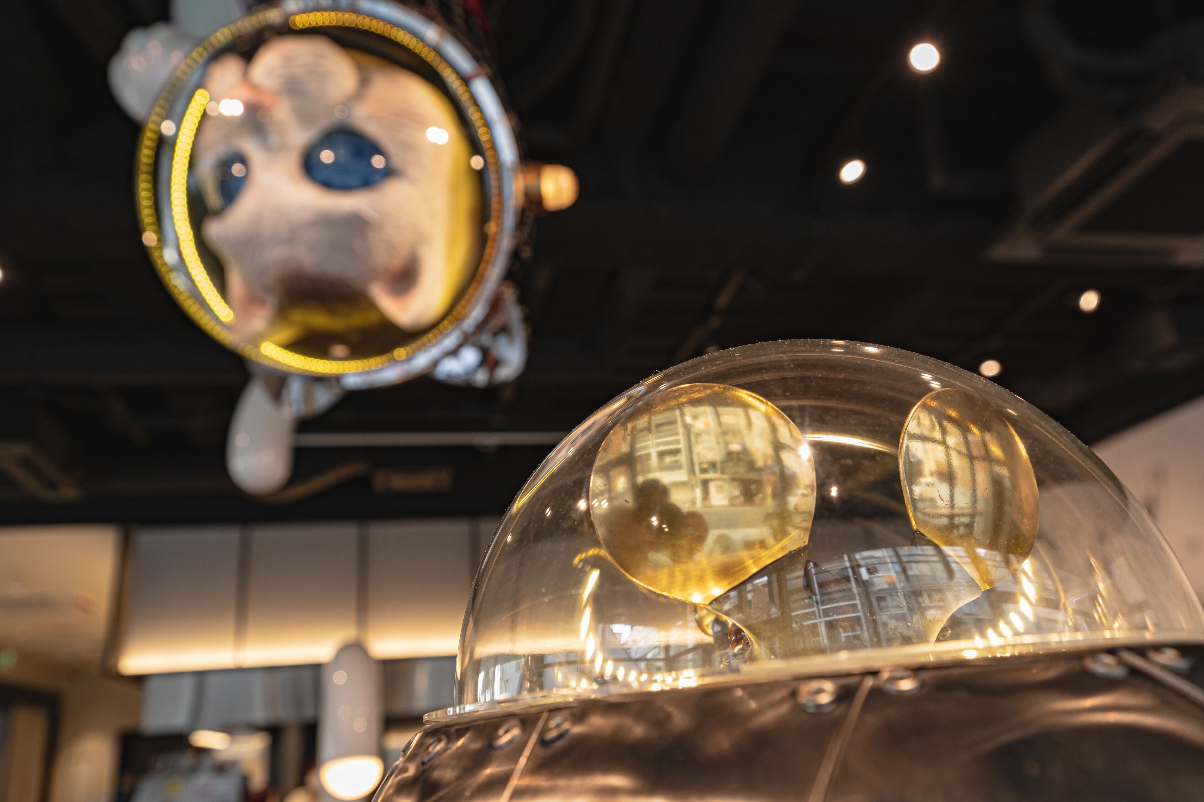 Foto - WeBase Hiroshima