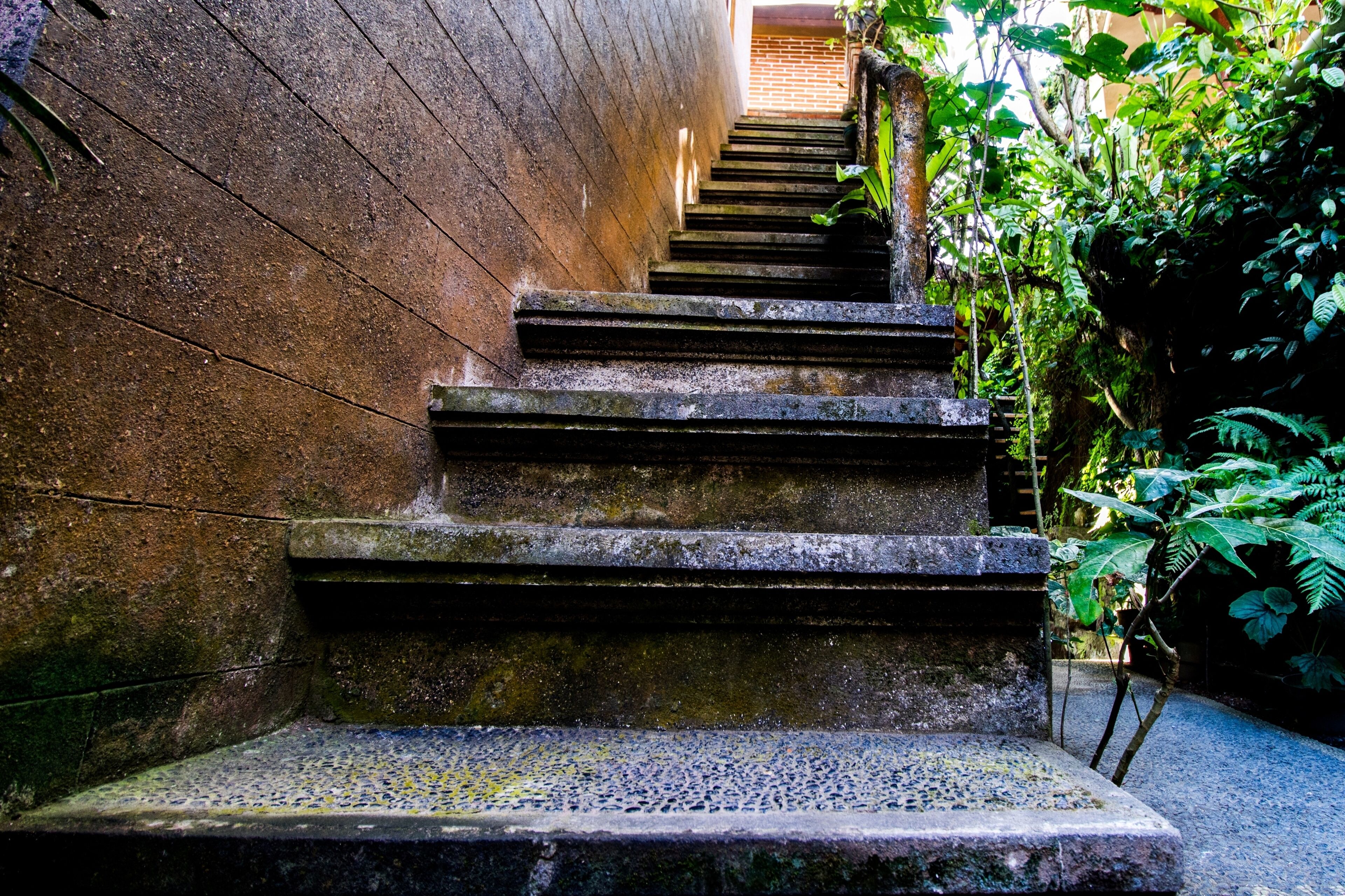 Photo - Bali Asli Lodge by EPS