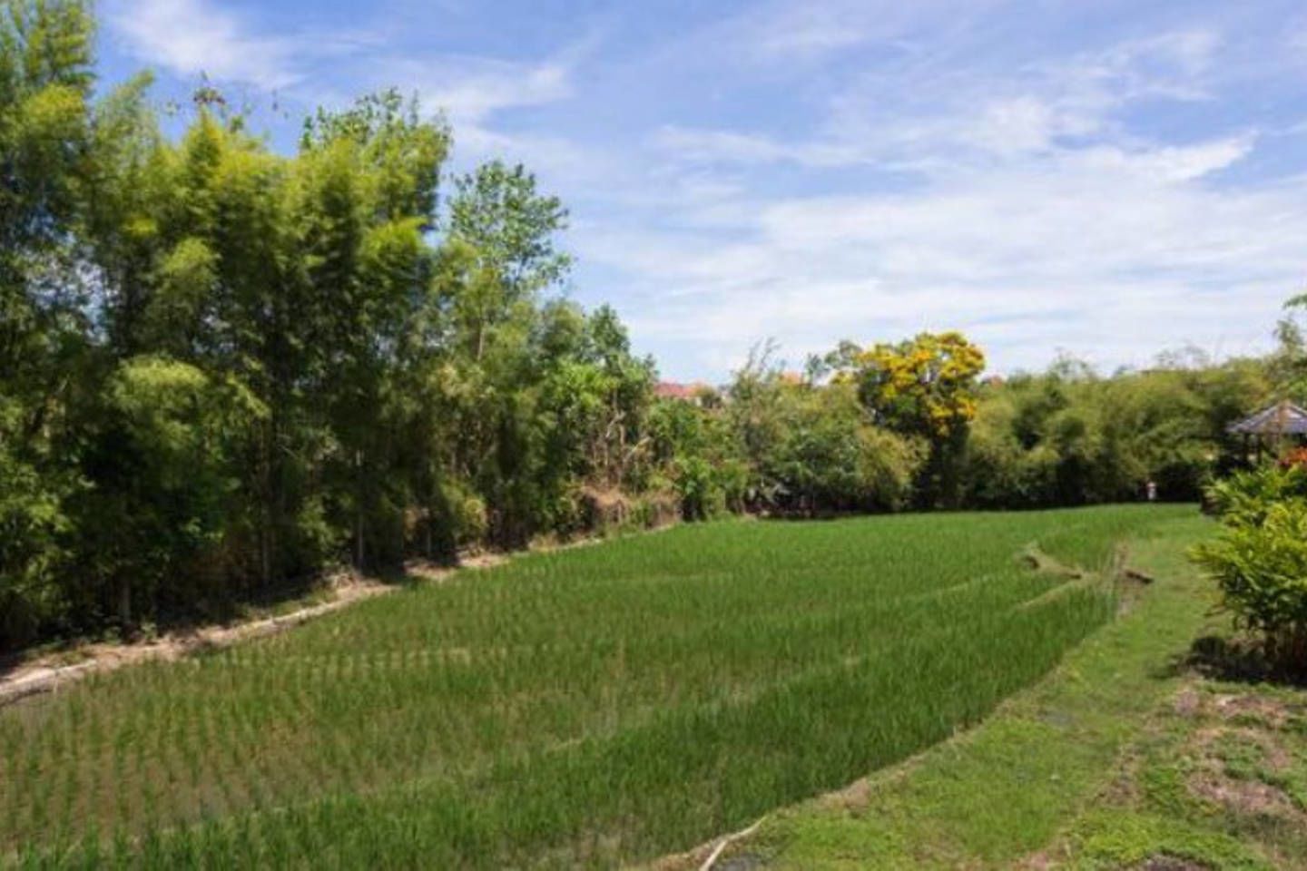 A rural landscape with a green field, trees, and a small structure.