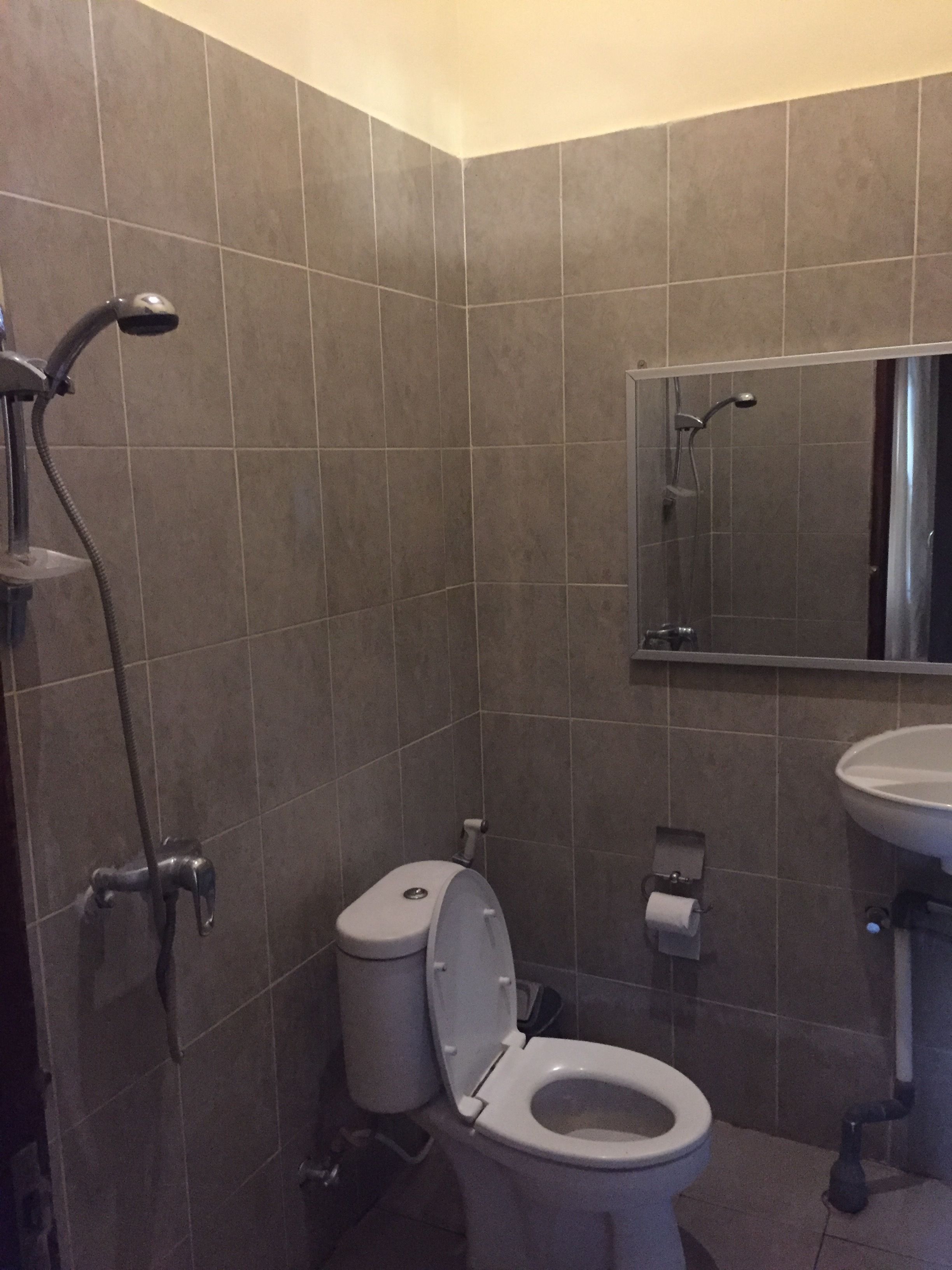 Un baño con inodoro, lavamanos y ducha.