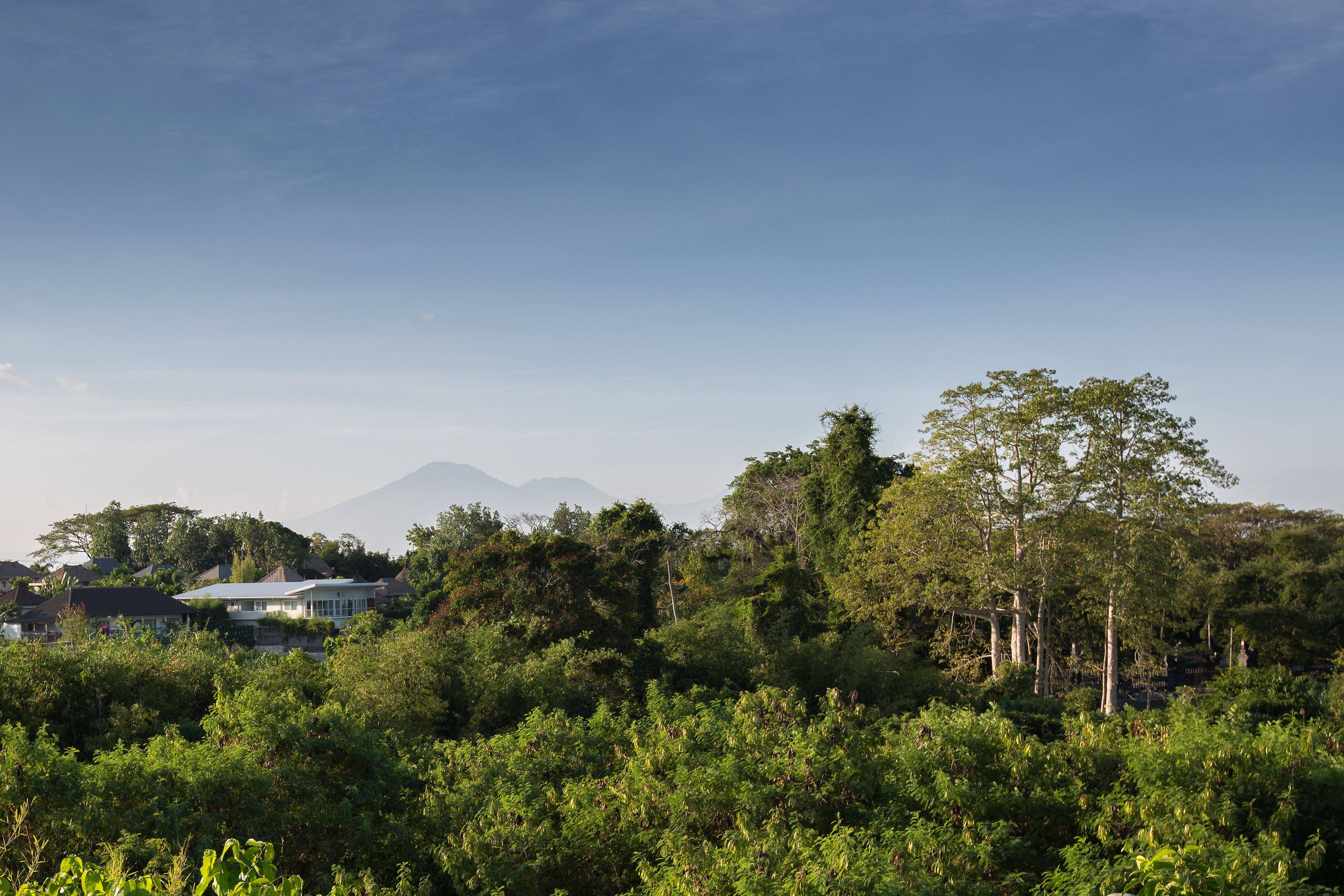 A lush green landscape with a mountain in the background and houses partially obscured by trees.