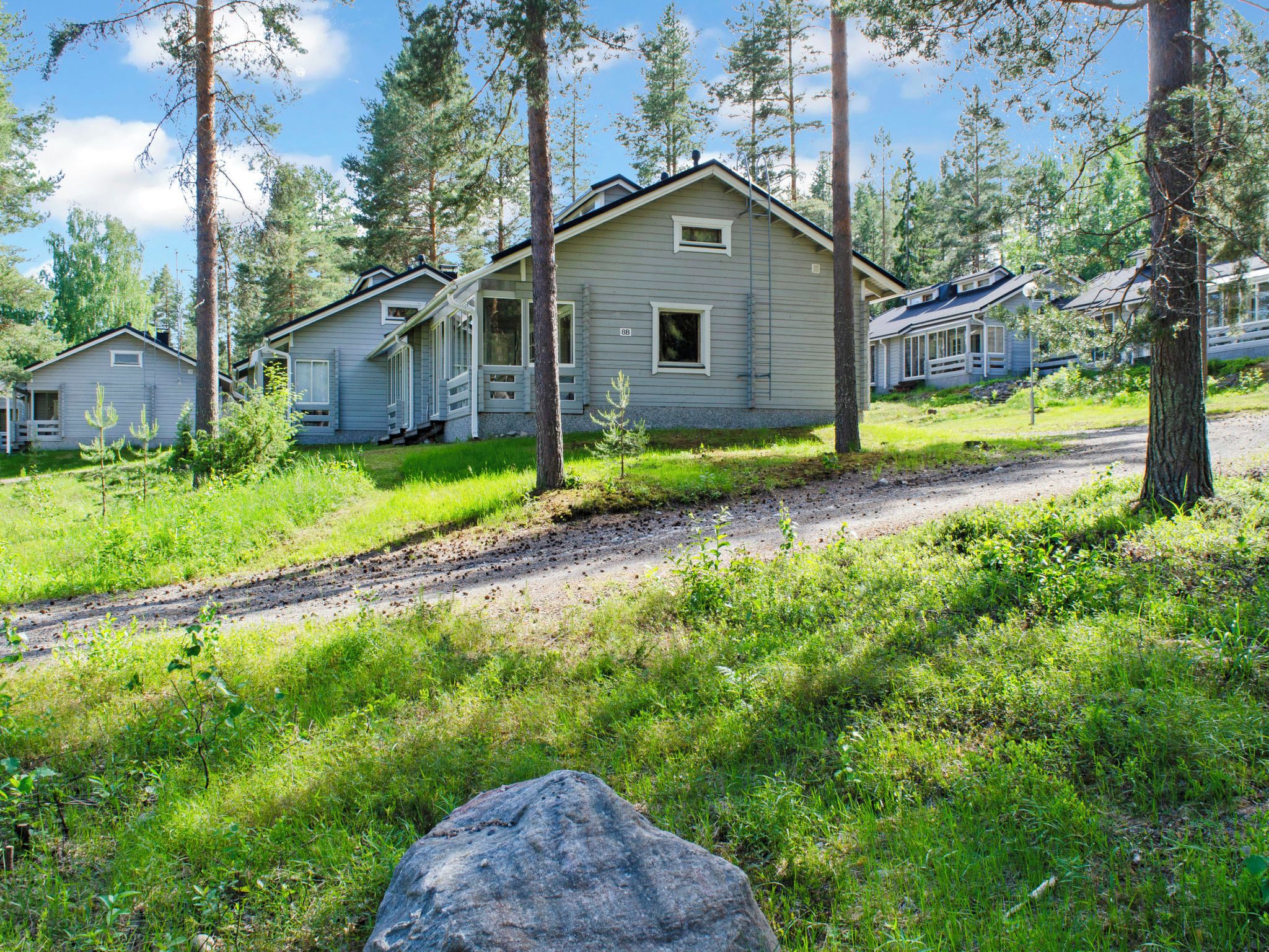 A row of cabins with a dirt path leading to them, surrounded by trees and greenery.